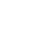 White MG logo, badge only